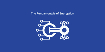 Encryption is necessary to securing your business. Learn about the fundamentals of encryption and how it can benefit your business.